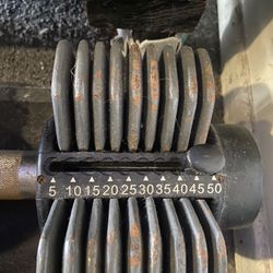 Adjustable Weights With Two 15 Weights 