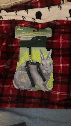 Rabbit harness