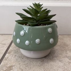 Artificial Plant / Succulent 