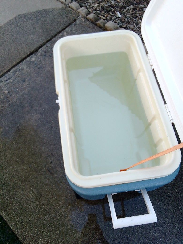 Maxcold $30.00