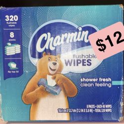 Charmin Flushable Wipes 
