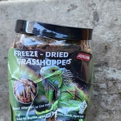 Jadingsfarm Freeze Dried  Grasshoppers 4.5 ounces
