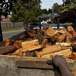 Firewood 