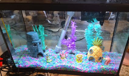 Full 10 gallon fish tank set up