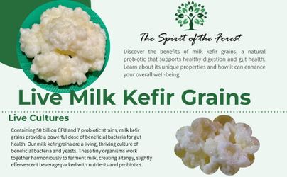 Live Kefir grain