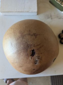 Coconut bowl