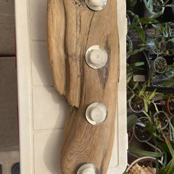 Driftwood 