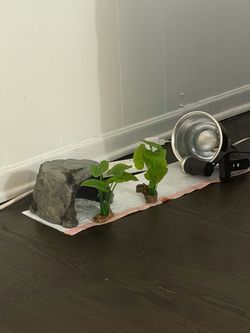 Aquarium/turtle accessories