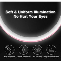 Mirrors Makeup LED， with Detachable Storage Base Vanity 90 Degree Rotation Travel Tabletop (Color : White)