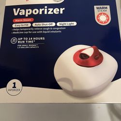 Vaporizer 