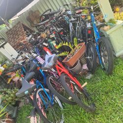 32 Assorted Bikes / Todas diferentes 