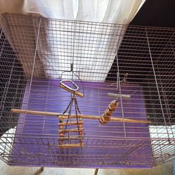 Purple Bird Cage