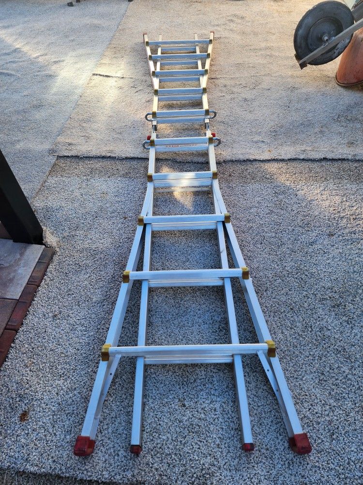 Multi-position Ladder