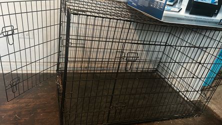 Dog items