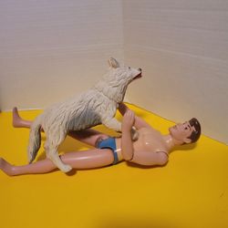 Barbie Man Doll With A Dog