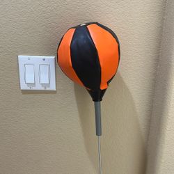 Punching Bag