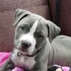 Charlie