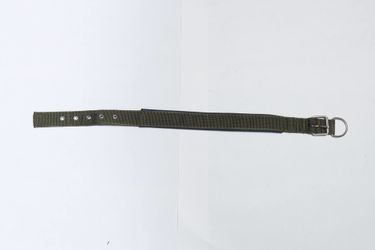 Dog collar