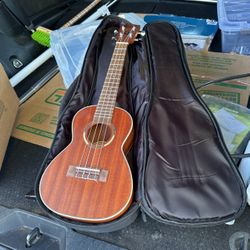 Nice UKELELE with Carrying Case