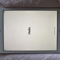 iPad Mini 