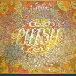 2013 Phish-Rochester Silkscreen Concert Poster by Fugscreens 


