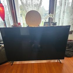 Vizio 65" Flat SCREEN TV 