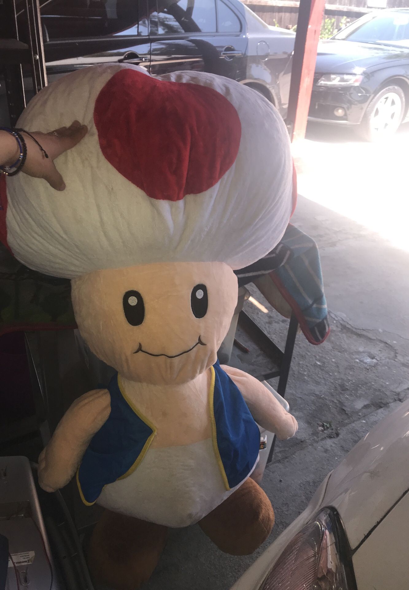Todd from Mario carts