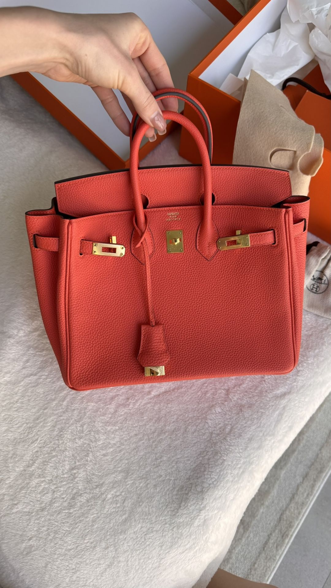 Birkin STYLE Bag 25