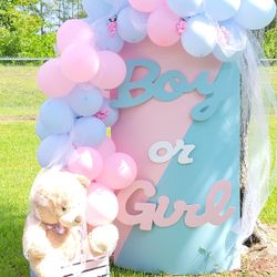 Gender Reveal 