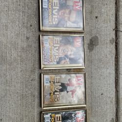  Elvis Tv Guide Collection . 