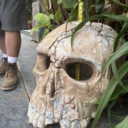 Massive Skull Custom Made Outdoor Art 32” D X 24” W X 24” H