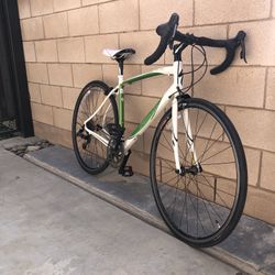 2010 Women’s Specialized Dolce Elite Green 54cm
