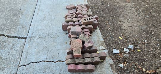 Red scallops  concrete edgers