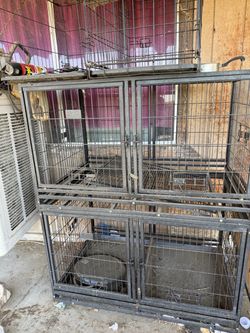 Kennels