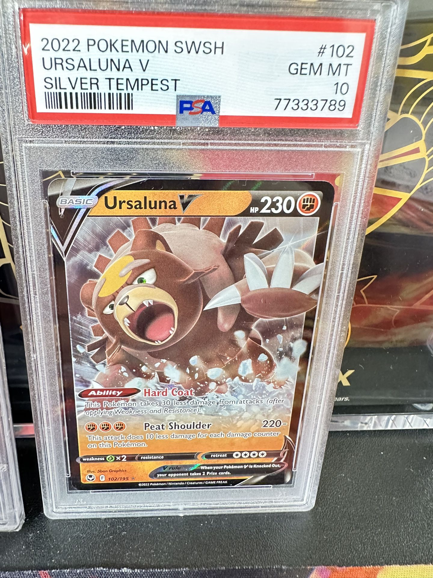 Pokémon Ursaluna V Psa 10
