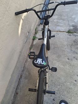 Mongoose