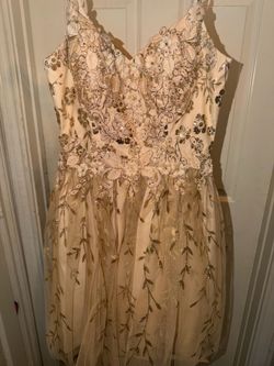 Fancy dress / quince dress
