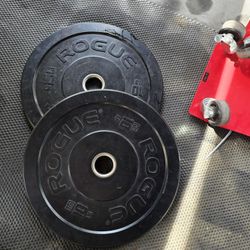 Weight Rogue Bumper Plates 