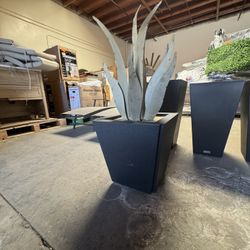 Agave Planter