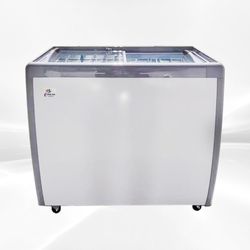 NSF 40 in Ice Cream Glass Freezer 