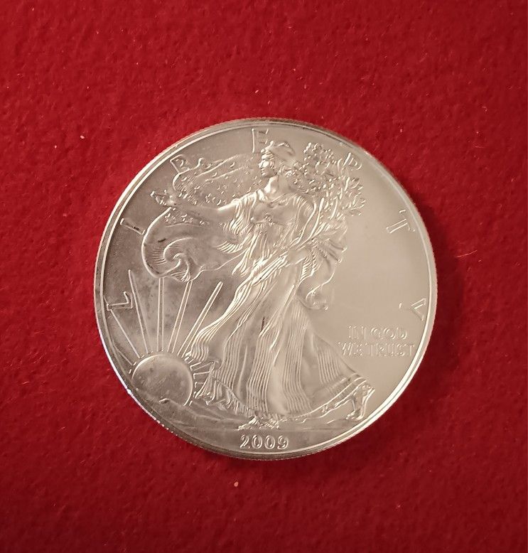 2009 Silver Eagle 