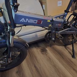 E-Bike ANIIOKI