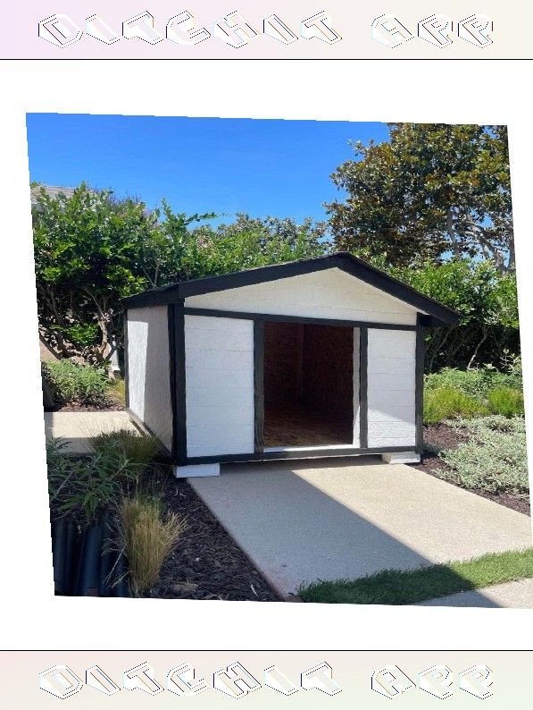 teacher me Design the Perfect Dog Home - Fashion and Comfort United