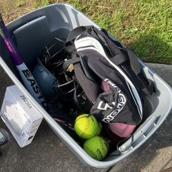 Baseball Helmets, Balls, Bats, Equipment Bags