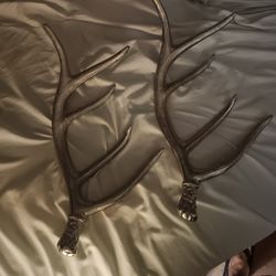 Metal Antlers 