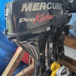 2014 Mercury 9.9 Electric Start