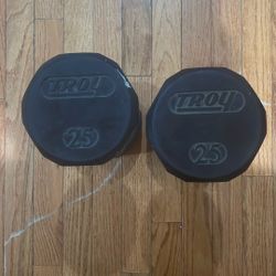 25 Pound 