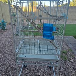 Bird Cage 