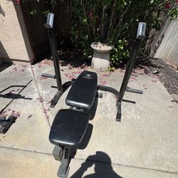 Bench Press/exercise bench