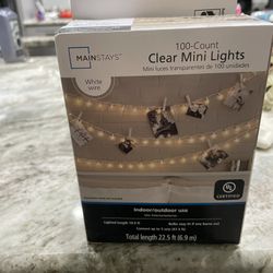 100 CT Clear Mini Lights